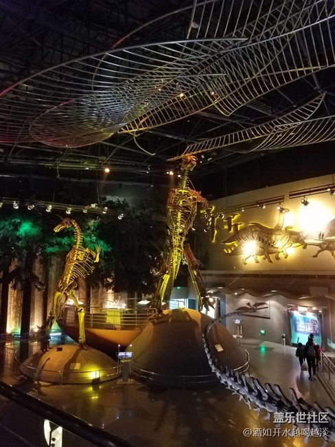 6.0相機(jī)弱光下。。。