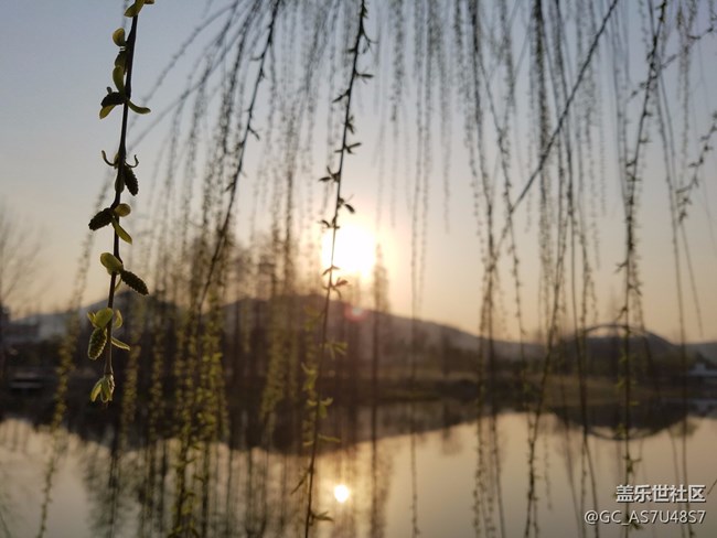 南京玄武湖早晨隨拍(還有這么個(gè)地方,下次來多學(xué)習(xí))