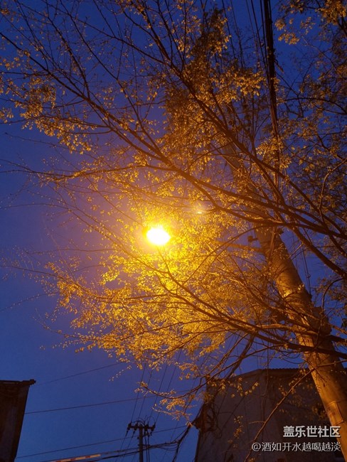 6.0相機(jī)弱光下。。。