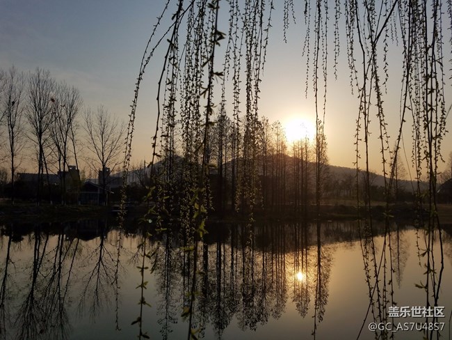 南京玄武湖早晨隨拍(還有這么個(gè)地方,下次來多學(xué)習(xí))