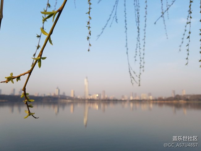 南京玄武湖早晨隨拍(還有這么個(gè)地方,下次來多學(xué)習(xí))