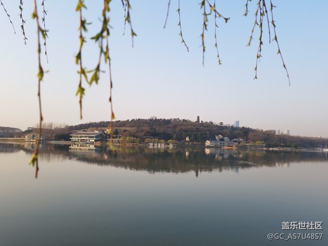 南京玄武湖早晨隨拍(還有這么個(gè)地方,下次來多學(xué)習(xí))