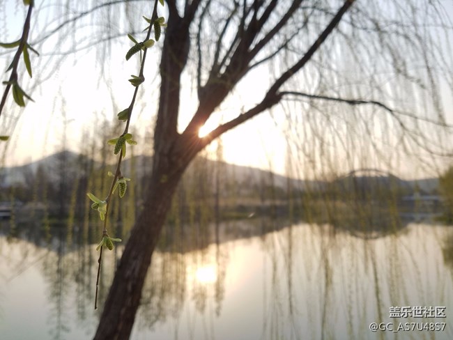 南京玄武湖早晨隨拍(還有這么個(gè)地方,下次來多學(xué)習(xí))