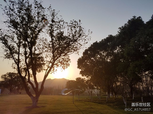 南京玄武湖早晨隨拍(還有這么個(gè)地方,下次來多學(xué)習(xí))