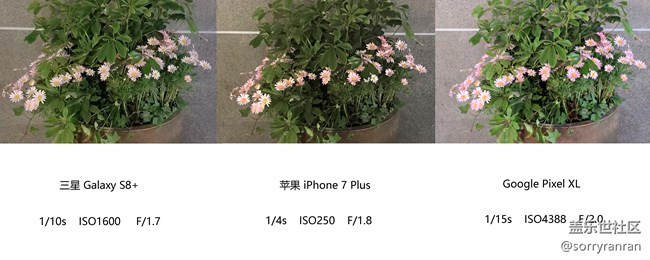 真の登頂！三星S8+|蘋果7 Plus|Google Pixel XL拍照對比評測