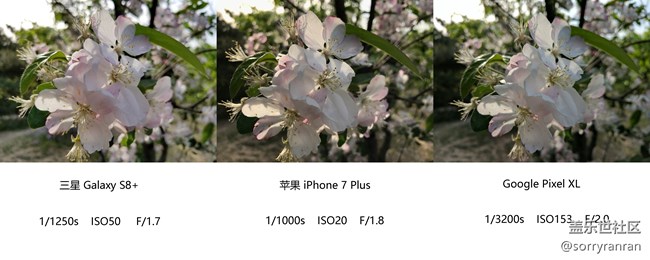 真の登頂！三星S8+|蘋果7 Plus|Google Pixel XL拍照對比評測