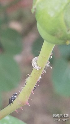 動(dòng)物隨手拍