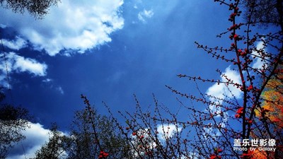 春天的暢想！