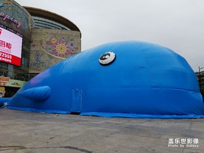 一條大魚（快到盤子里來(lái)）