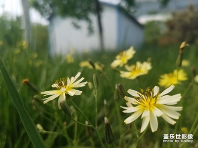 唯美