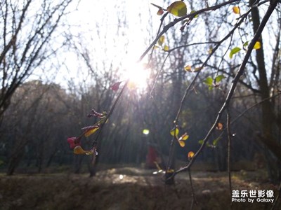 旅途隨手拍的