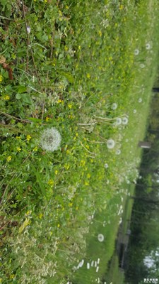 生命的起航與消失