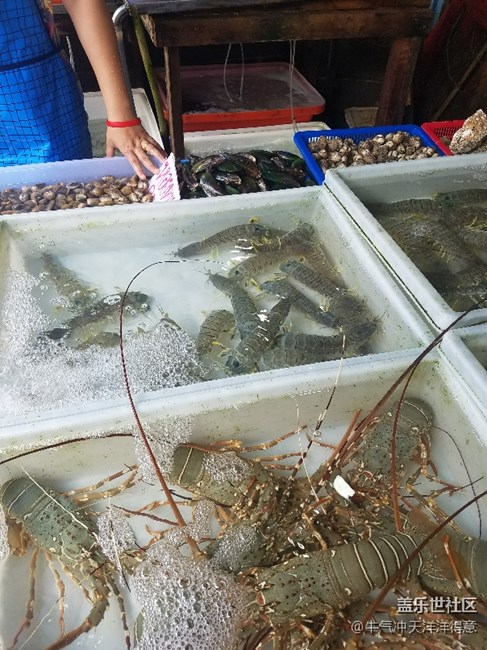 拍才知道+泰國(guó)海鮮市場(chǎng)