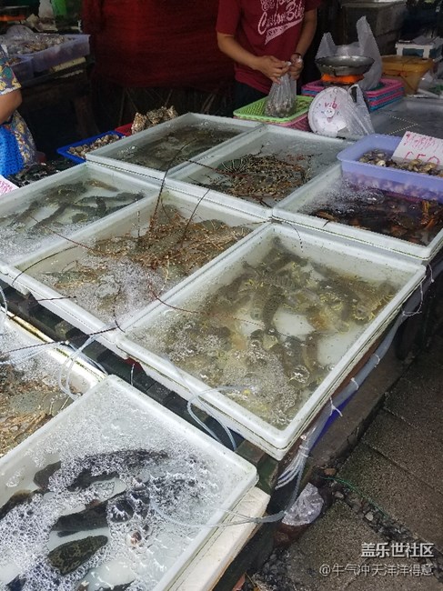 拍才知道+泰國(guó)海鮮市場(chǎng)