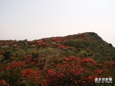 一路旅行一路曬+清遠(yuǎn)市望軍山+風(fēng)景