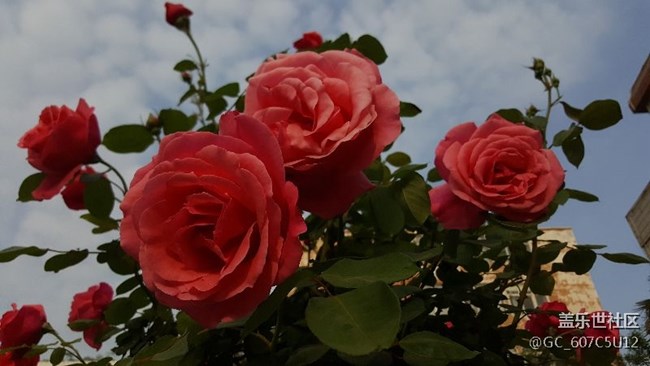 節(jié)日快樂(lè)