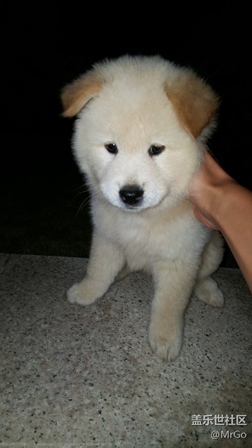 你們的51進(jìn)入倒計(jì)時(shí)。