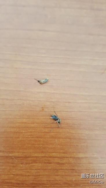 昨晚和他們大戰(zhàn)300回合。