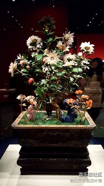 中國(guó)瑰寶——首博游記