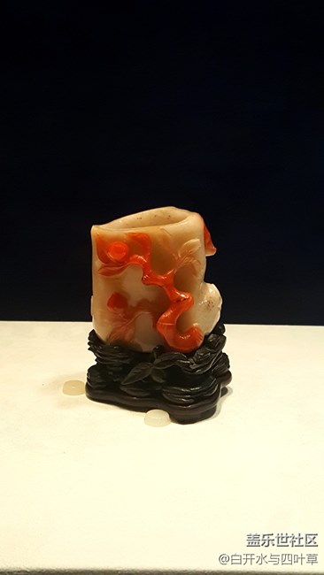 中國(guó)瑰寶——首博游記