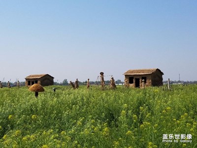 一路旅行一路曬+石家莊+春意