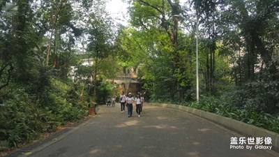 一路旅行一路曬+廣州+美麗公園