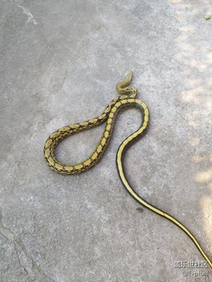 一路旅行一路曬+拍攝重慶云陽+玩樂