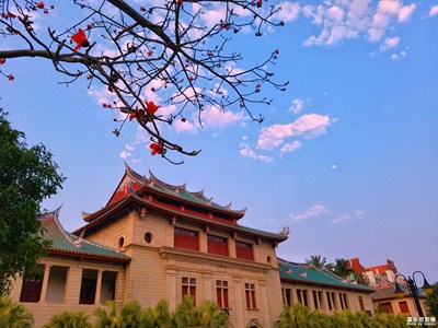 悠閑的午后，到廈大看木棉花開