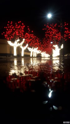 一路旅行一路曬+青島+泰山和魚和雨