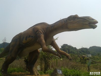 一路旅行一路曬+廣西+龍谷灣游玩