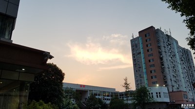 《初夏風(fēng)情畫(huà)》+ 成都 + 初夏風(fēng)光