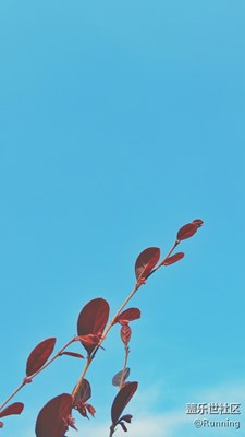 《初夏風情畫》+福建泉州市+生機勃勃