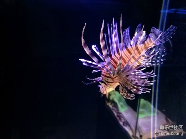 三星蓋樂世C5 Pro拍照體驗