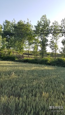 《初夏風(fēng)情畫》+河南洛陽市+初夏的景色