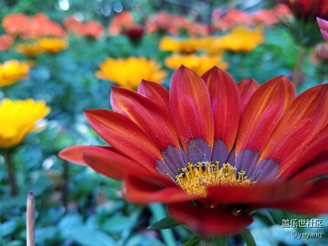 星幣商城怎么老是缺貨??？