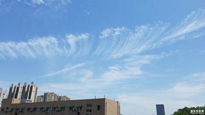 《初夏風(fēng)情畫(huà)》+ 成都 +白云