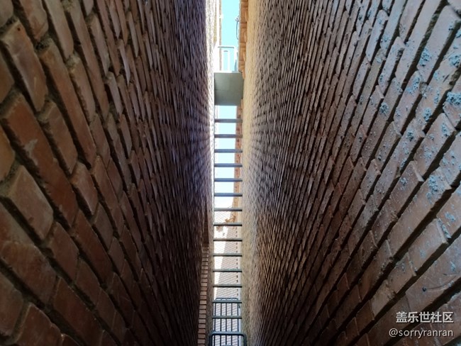 拍照機(jī)皇的驚鴻一瞥 三星Galaxy S8+樣張賞析