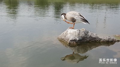無題，
