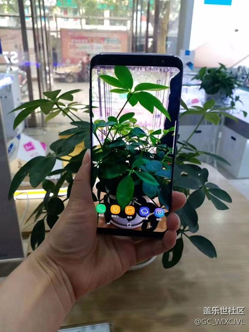 鄭州辦洛陽(yáng)小區(qū)…為了S8的輝煌  奔跑“8”