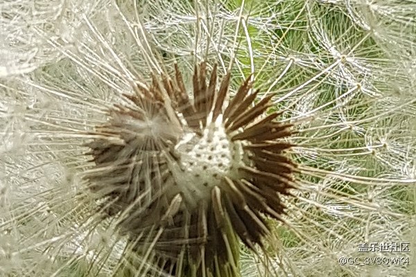 當(dāng)S8遇上單反 會(huì)是怎樣的結(jié)局