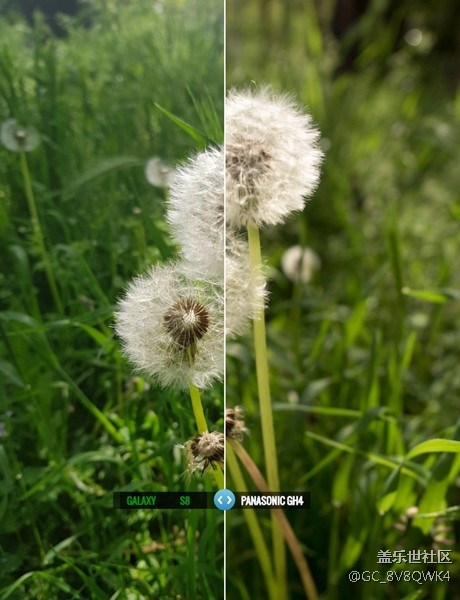 當(dāng)S8遇上單反 會(huì)是怎樣的結(jié)局