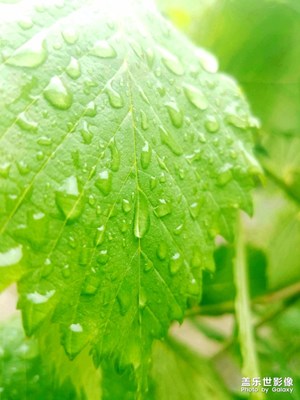 夏雨+晚霞