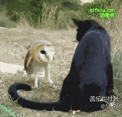 大家有沒有徹底清除手機碎片內(nèi)存的方法