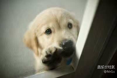 你們的手機(jī)內(nèi)存還剩多少？