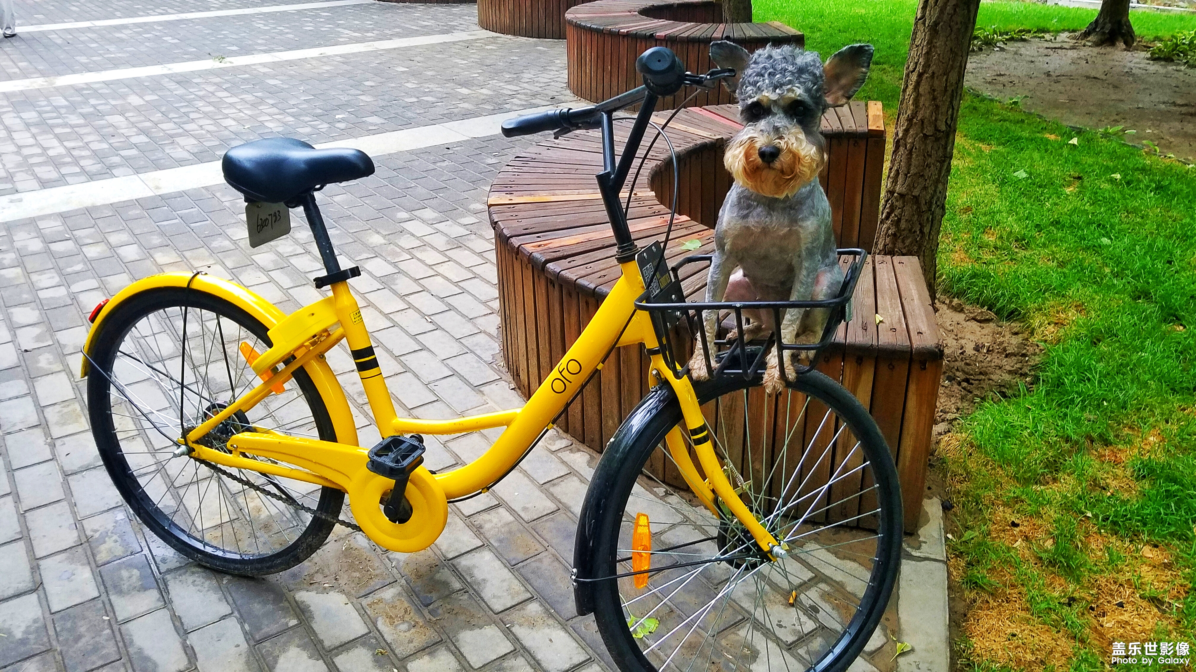 【三星蓋樂世 S7】又見啦啦