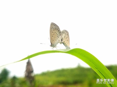 瞬間與永恒