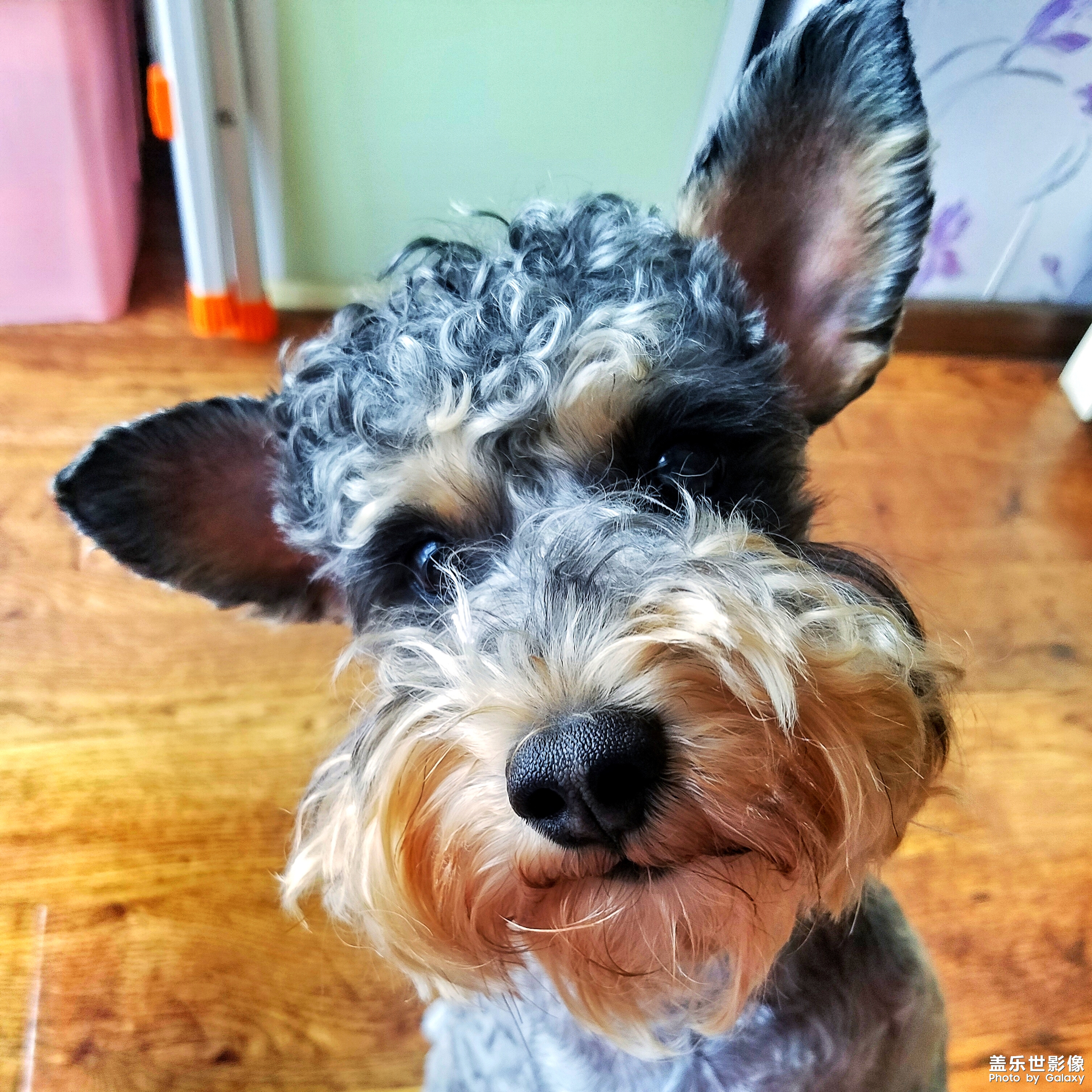 【三星蓋樂世 S7】又見啦啦