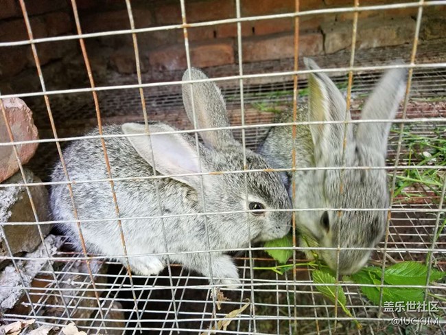 【S8曬單】為了你，我輾轉(zhuǎn)反側