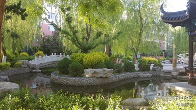 烏海市人民公園景象