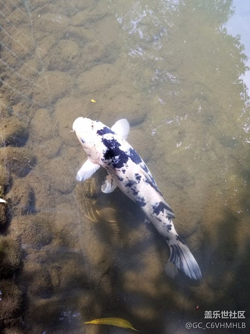 GalaxyS8|S8+機(jī)皇降世，簡(jiǎn)單可靠，更勝一籌